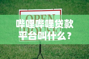 洋钱罐借钱，梳理5个贷款加盟平台