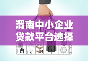 渭南中小企业贷款平台选择与申请全攻略