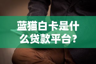 蓝猫白卡是什么贷款平台？全面解析产品特点与使用攻略
