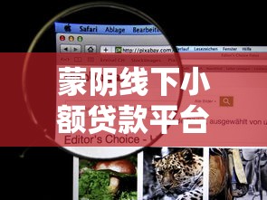 蒙阴线下小额贷款平台推荐：哪些机构更靠谱？