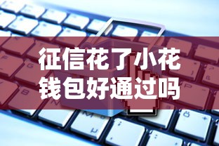 征信花了小花钱包好通过吗，分析五个网贷小平台