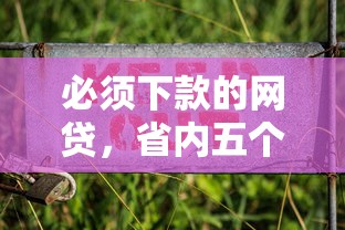 必须下款的网贷，省内五个黑户也能下款的口子