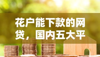 花户能下款的网贷，国内五大平台可以贷款