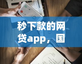 秒下款的网贷app，国内五大平台好下款