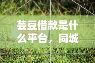 芸豆借款是什么平台，同城五个安全的贷款平台