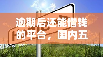 逾期后还能借钱的平台，国内五大借款平台借钱快