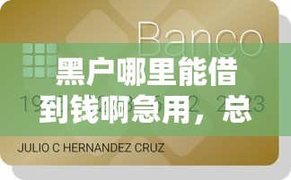 黑户哪里能借到钱啊急用，总结五个贷款平台可靠的