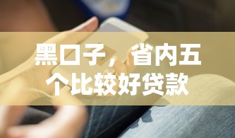 黑口子，省内五个比较好贷款的平台