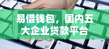 易借钱包，国内五大企业贷款平台