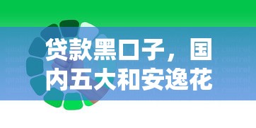 贷款黑口子，国内五大和安逸花一样的平台还