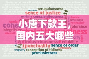 小唐下款王，国内五大哪些低息可靠可以分12期以上的借款平台