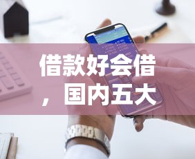 借款好会借，国内五大2025黑户口子