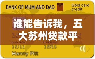 谁能告诉我，五大苏州贷款平台