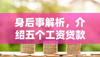 身后事解析，介绍五个工资贷款平台