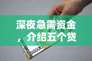 深夜急需资金，介绍五个贷款平台好利息低