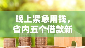 晚上紧急用钱，省内五个借款新口子