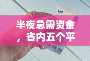 半夜急需资金，省内五个平台借钱