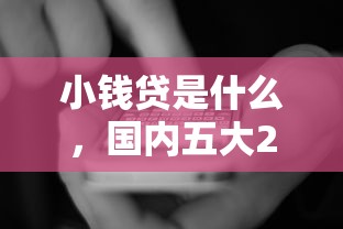 小钱贷是什么，国内五大2025专门给花户放款的平台
