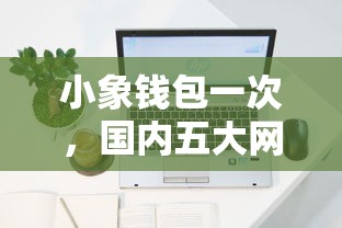 小象钱包一次，国内五大网贷平台比较容易通过