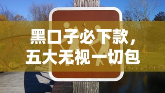 黑口子必下款，五大无视一切包下款的口子