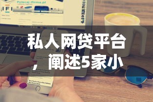 私人网贷平台，阐述5家小额贷款平台