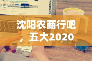 沈阳农商行吧，五大2020年12月容易下款的口子