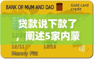 贷款说下款了，阐述5家内蒙古人好下款的平台