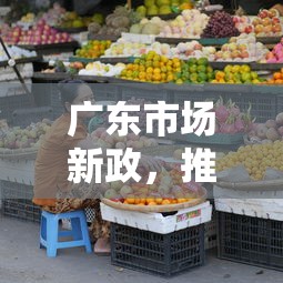 广东市场新政，推荐五个36期贷款平台