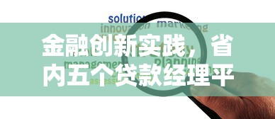 金融创新实践，省内五个贷款经理平台