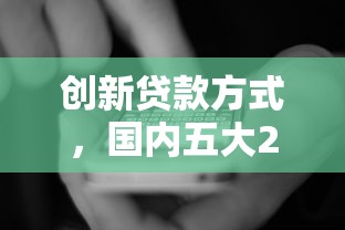 创新贷款方式，国内五大2025黑花户借款平台