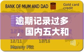 逾期记录过多，国内五大和好分期一样容易过的平台