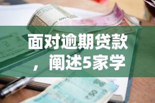 面对逾期贷款，阐述5家学生贷款平台