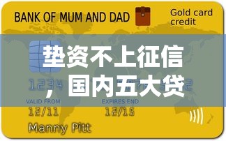 垫资不上征信，国内五大贷款平台利息低又正规