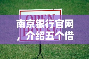 南京银行官网，介绍五个借款平台贷款快
