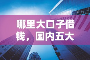 哪里大口子借钱，国内五大哪些网贷平台上征信
