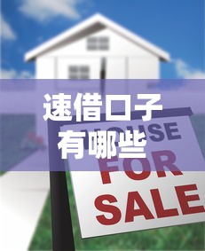 速借口子有哪些，国内五大贷款平台小额
