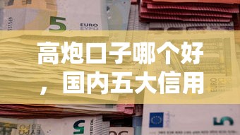 高炮口子哪个好，国内五大信用借钱平台