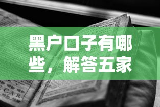 黑户口子有哪些，解答五家良心贷款平台