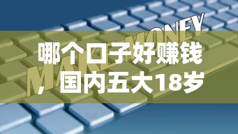 哪个口子好赚钱，国内五大18岁黑户贷款平台