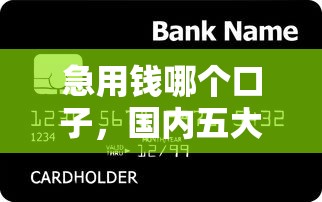 急用钱哪个口子，国内五大好用的贷款平台