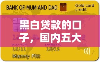 黑白贷款的口子，国内五大黑户分期借钱平台什么最好下款