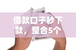 借款口子秒下款，整合5个70岁可以贷款的平台