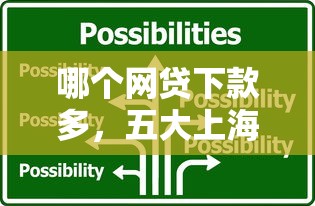 哪个网贷下款多，五大上海网贷平台