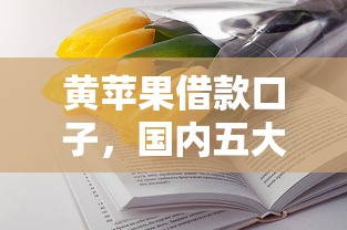 黄苹果借款口子，国内五大最容易的贷款平台