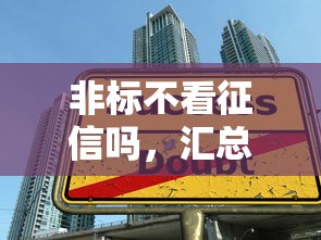 非标不看征信吗，汇总五个70岁可以贷款的平台