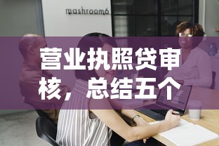 营业执照贷审核，总结五个小微贷款平台