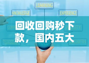 回收回购秒下款，国内五大正规可靠的贷款平台
