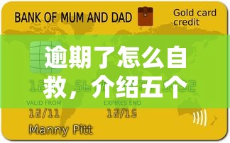 逾期了怎么自救，介绍五个平台好贷款