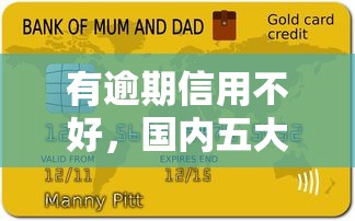 有逾期信用不好，国内五大黑户借钱的平台