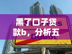 黑了口子贷款b，分析五个17岁学生贷款平台